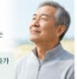 전신 기운 보강